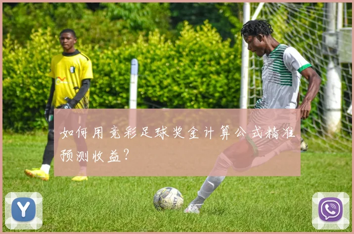 如何用竞彩足球奖金计算公式精准预测收益?