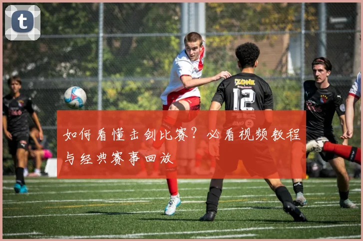 如何看懂击剑比赛？必看视频教程与经典赛事回放